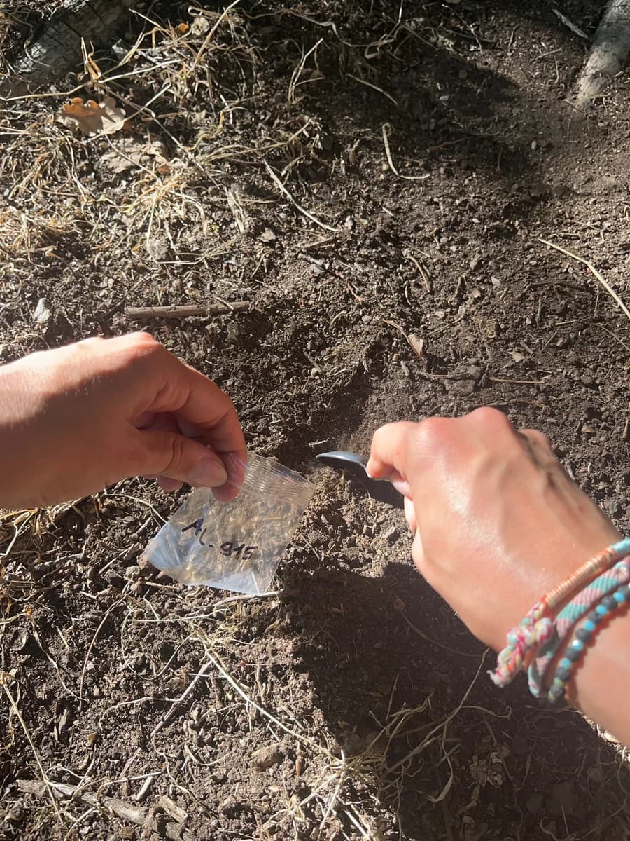 Des mains recueillent un échantillon de sol dans un sachet